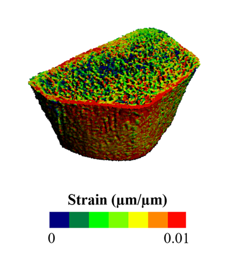 Radius image and strain distribution